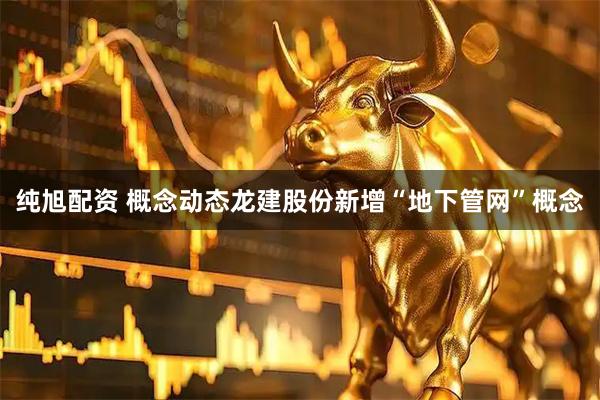 纯旭配资 概念动态龙建股份新增“地下管网”概念